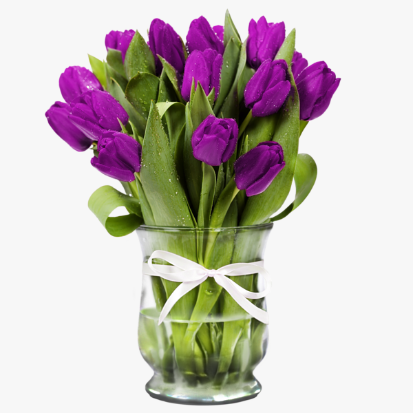 Red tulip