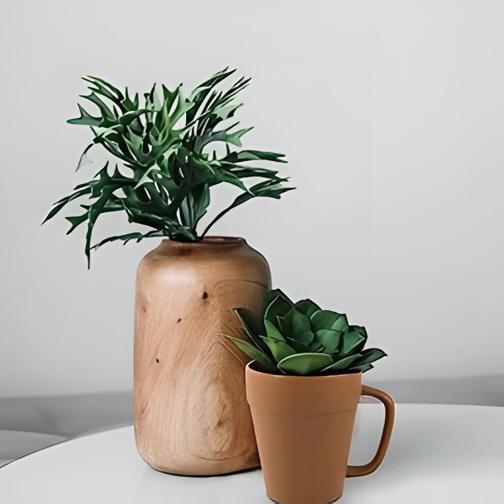 Plant