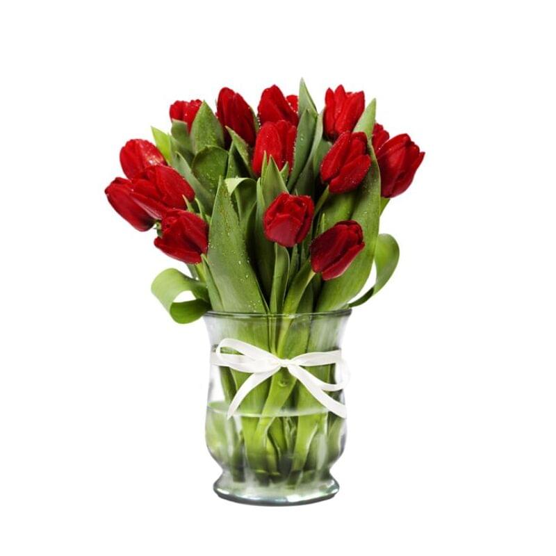 Red tulips
