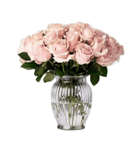 Pink roses